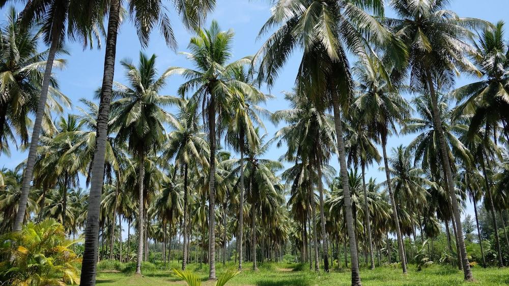 Khao Lak Golden Coconut Ξενοδοχείο Εξωτερικό φωτογραφία