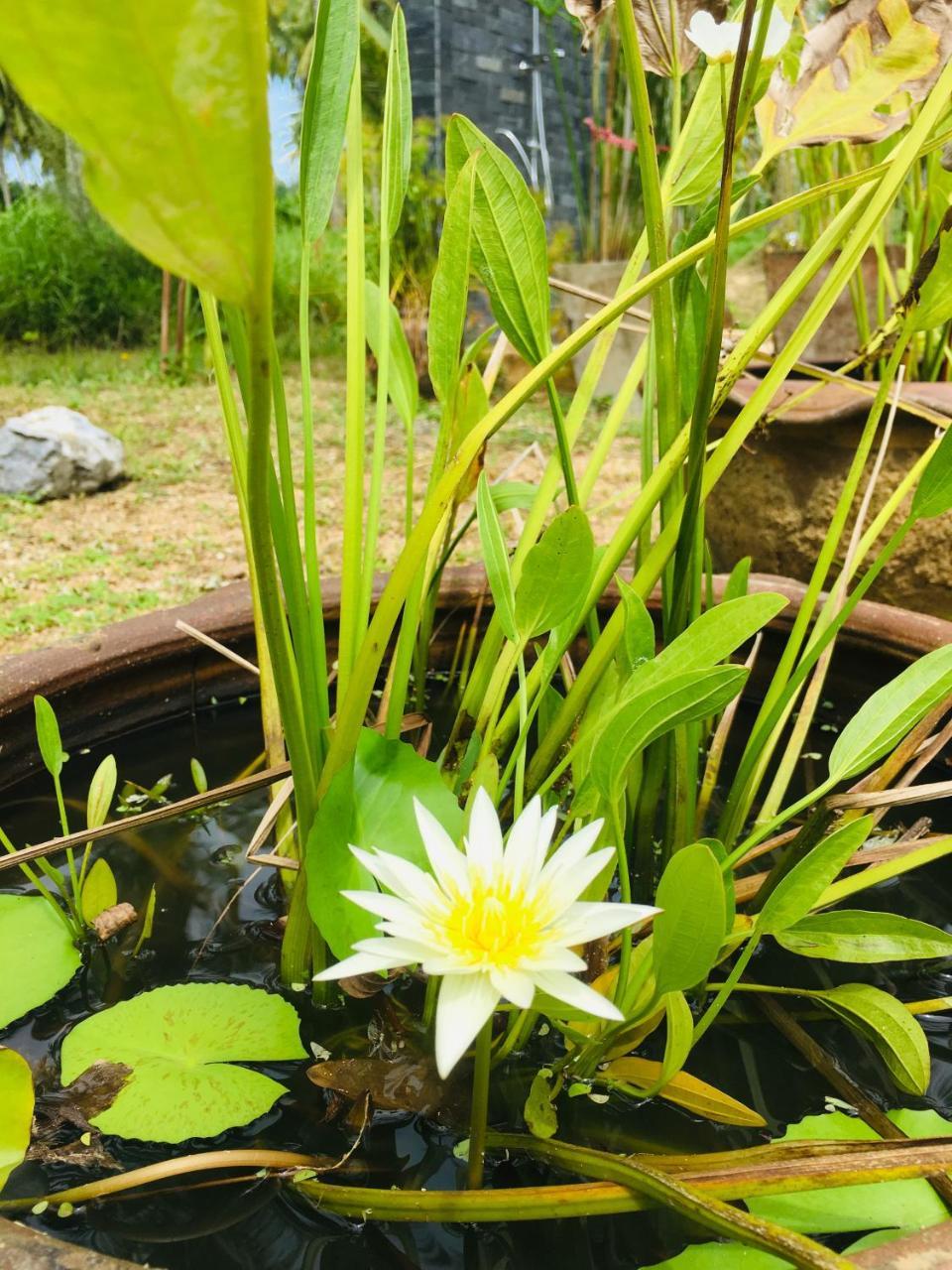 Khao Lak Golden Coconut Ξενοδοχείο Εξωτερικό φωτογραφία