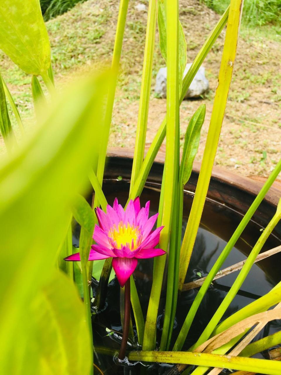 Khao Lak Golden Coconut Ξενοδοχείο Εξωτερικό φωτογραφία